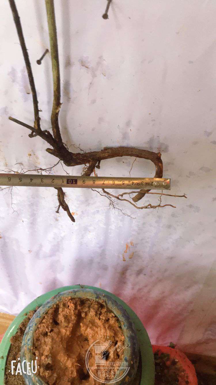 QQͼƬ20190508125311.jpg