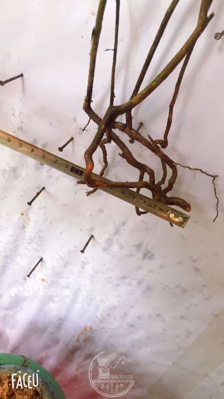 QQͼƬ20190508125718.jpg
