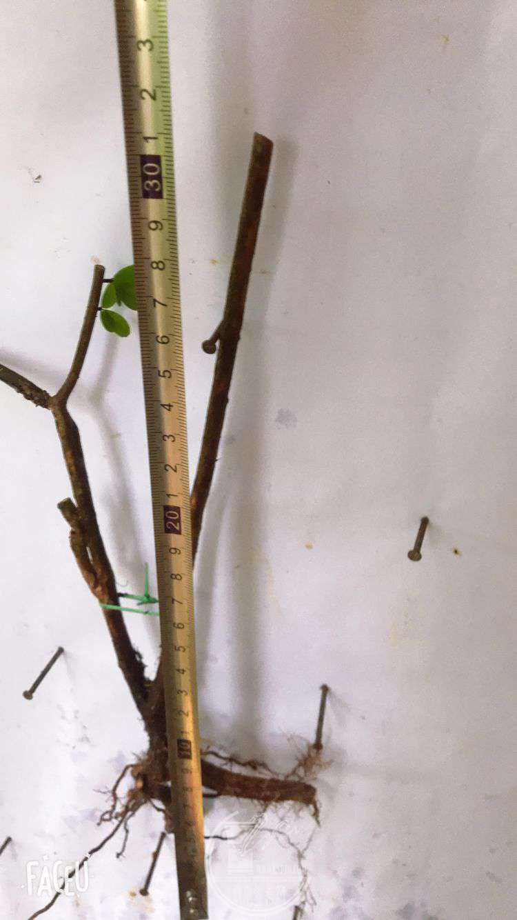 QQͼƬ20190508130037.jpg