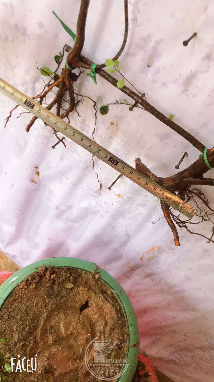 QQͼƬ20190508130510.jpg