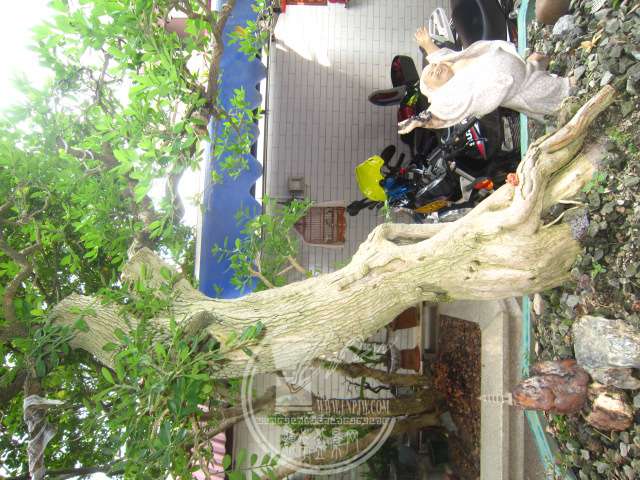 IMG_0674.JPG