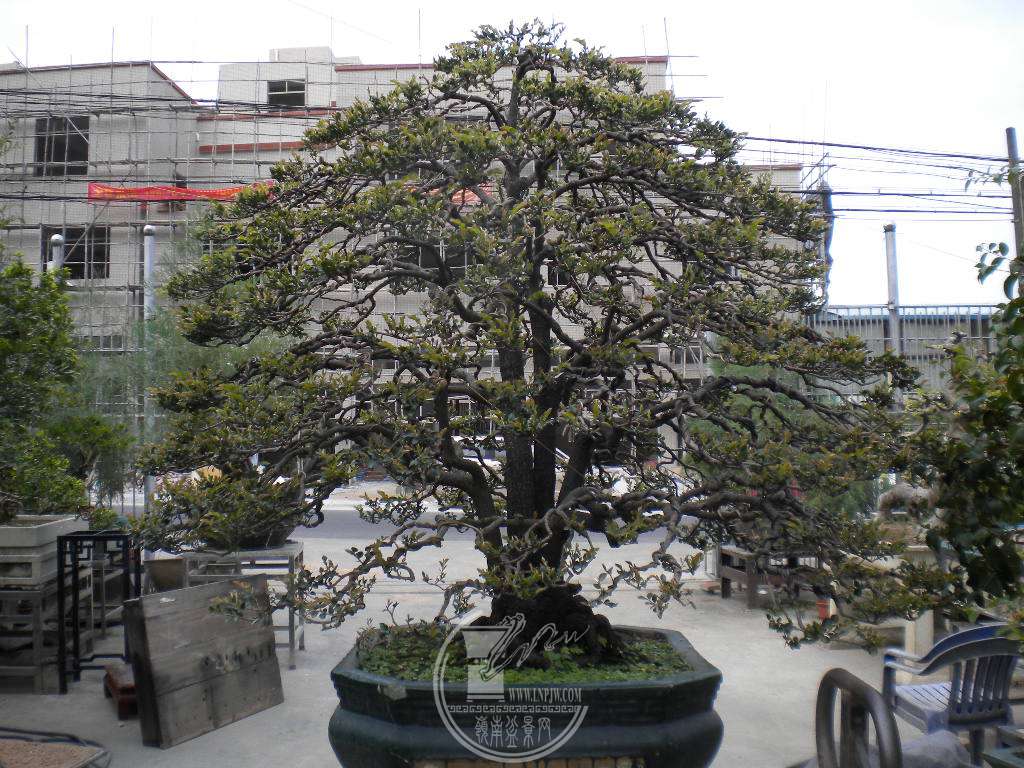 DSCN0403.JPG