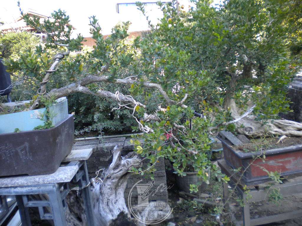 DSCN0430.JPG