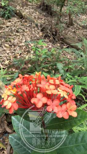 IMG20190328104636_1.jpg