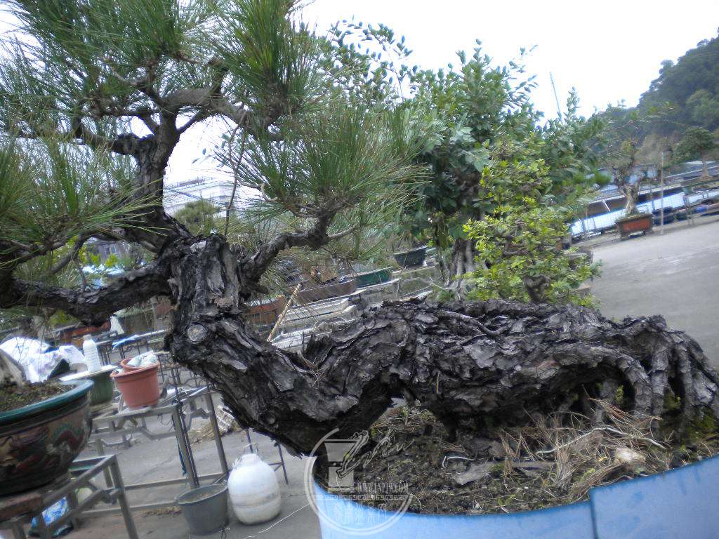 DSCN0482.JPG