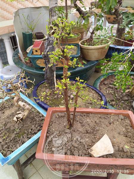 IMG_20200210_123509_С.jpg