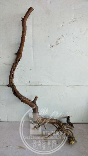 IMG20200223160906.jpg