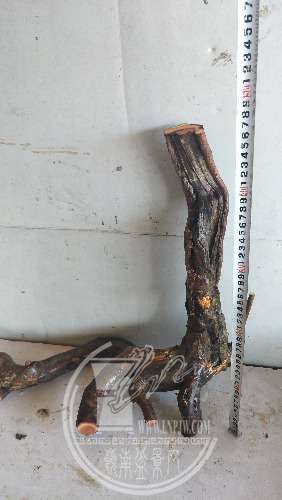 IMG20200226153503.jpg
