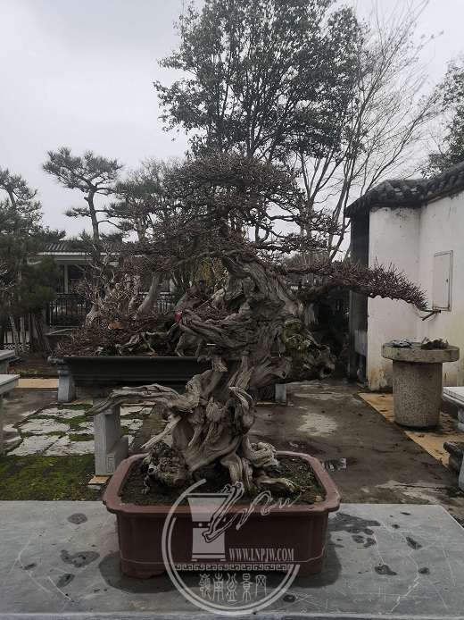 81f0a8e2e38446e4848f8d6963d8d6f3..jpg