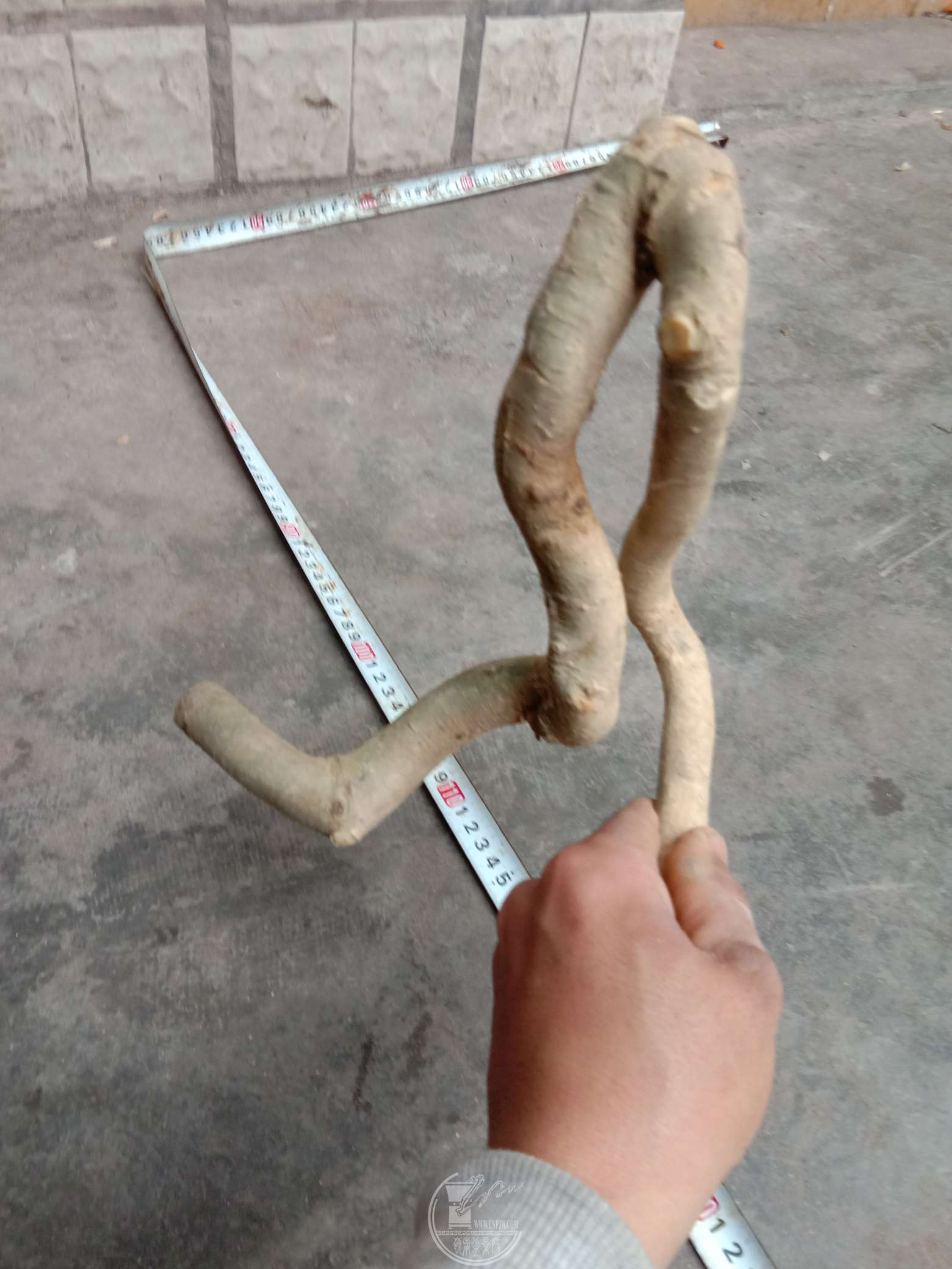 031821ʱ03394ͼƬѹ.jpg