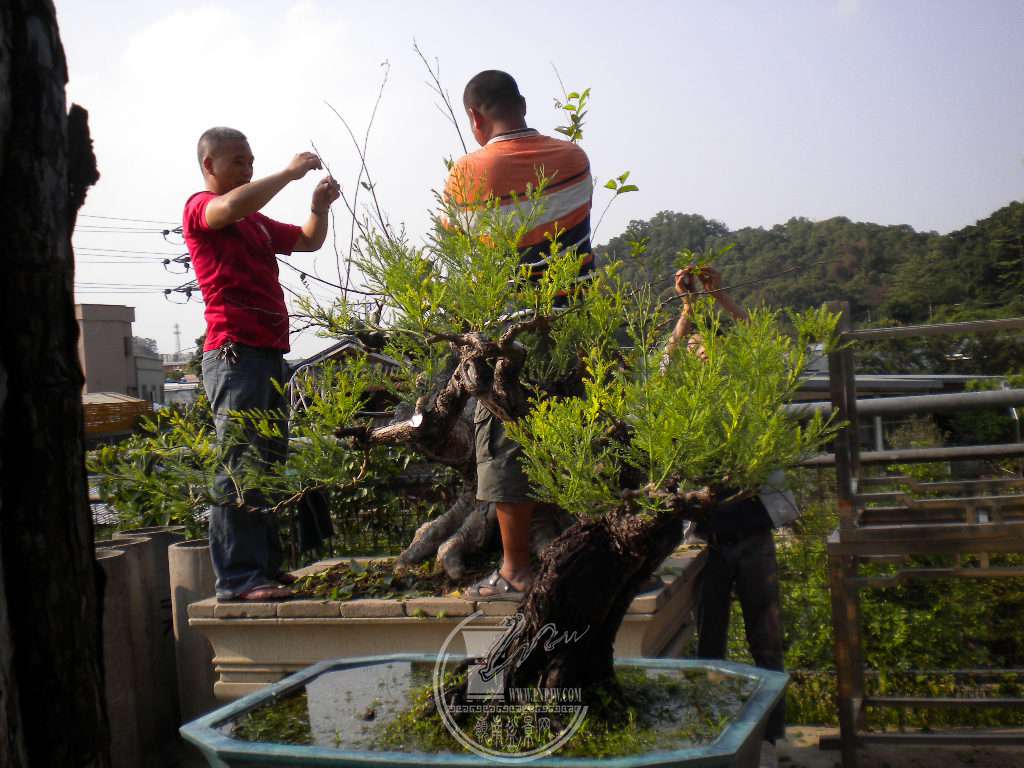 DSCN0600.JPG