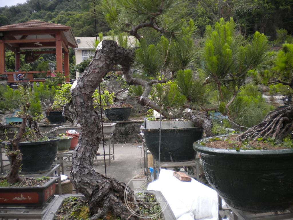 DSCN0536.JPG