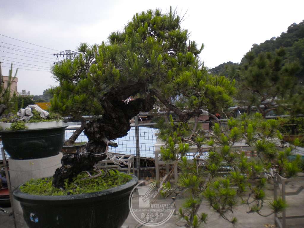 DSCN0588.JPG