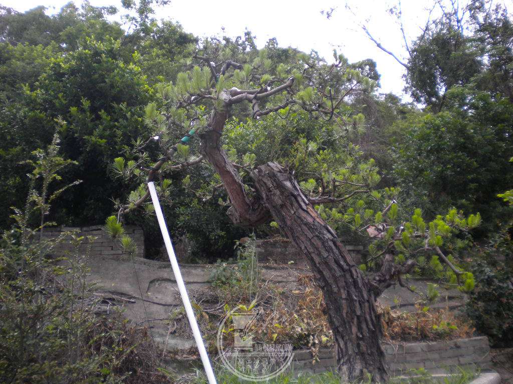 DSCN0550.JPG
