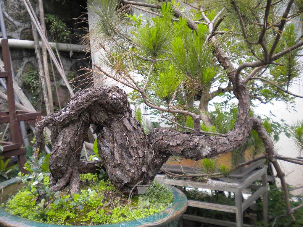 DSCN0594.JPG