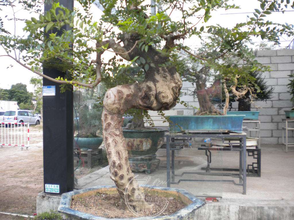 DSCN0360.JPG