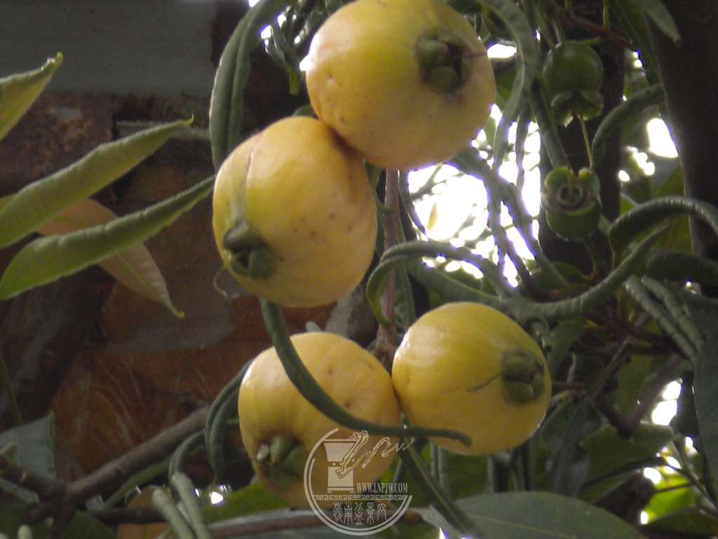 DSCN0622.JPG