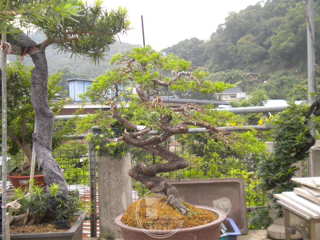 DSCN0633.JPG