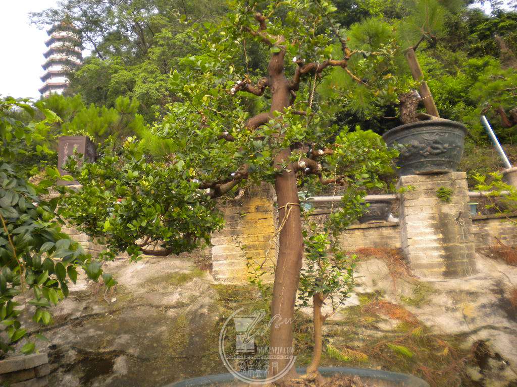 DSCN0696.JPG