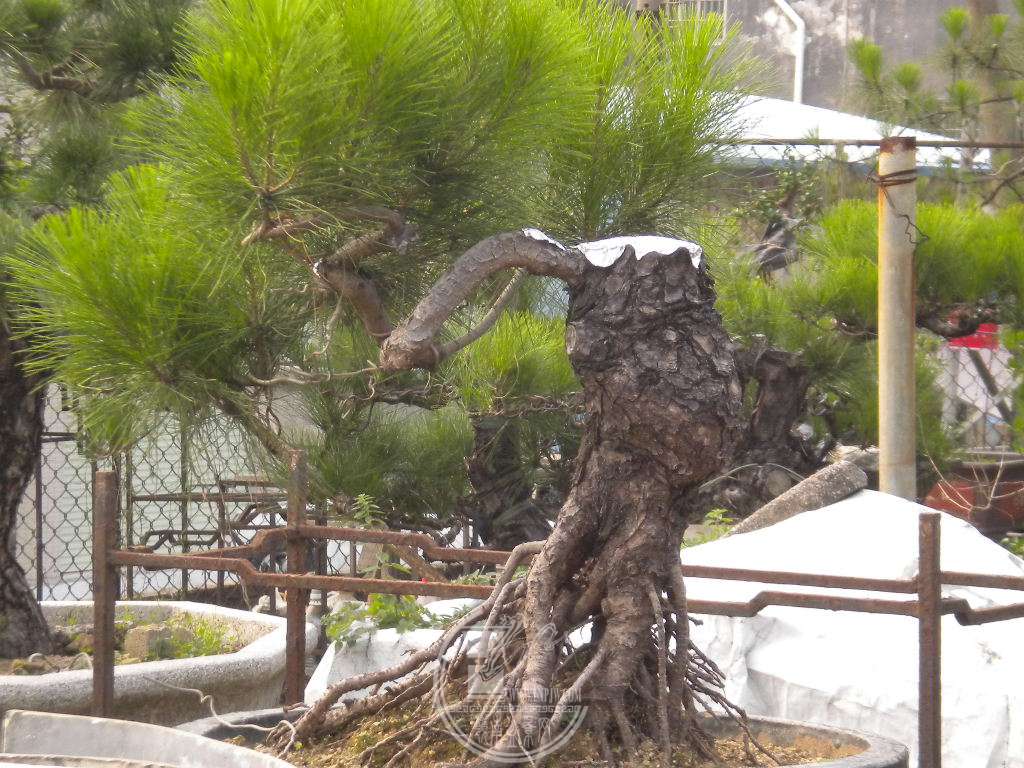 DSCN0693.JPG