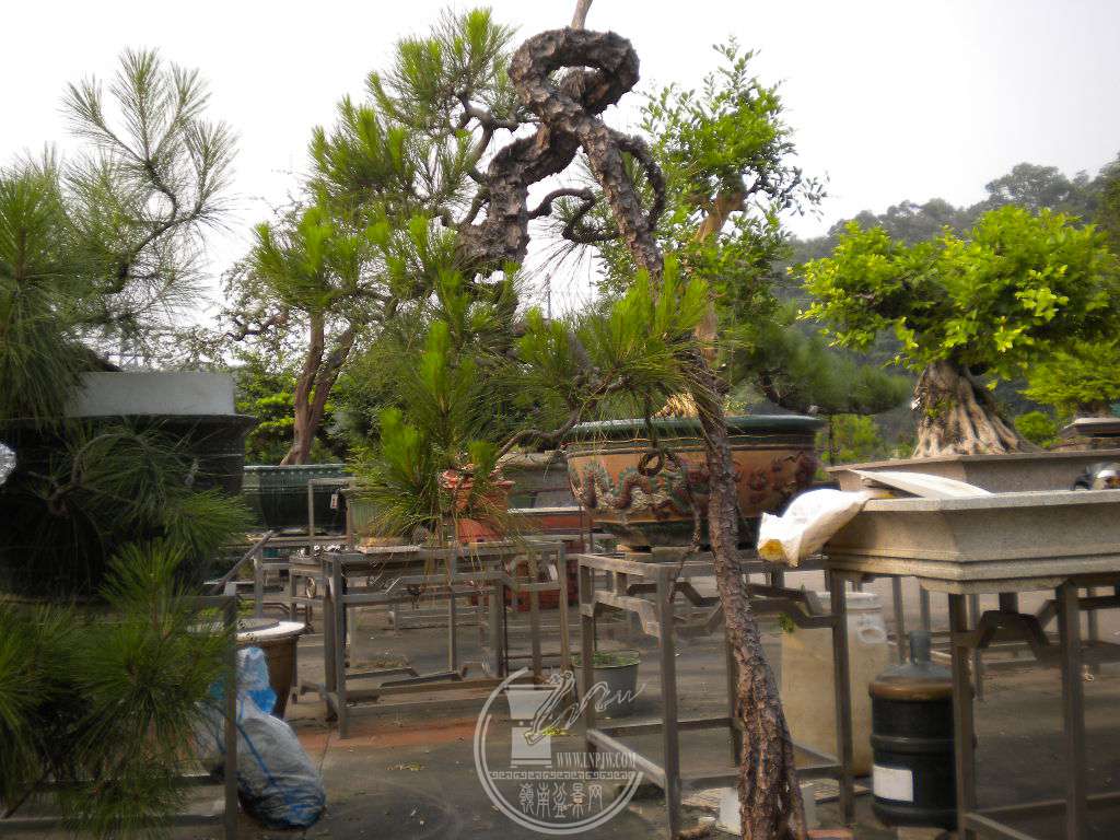 DSCN0692.JPG