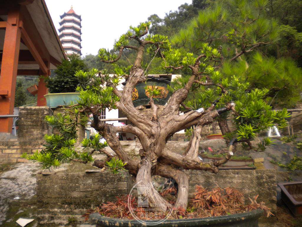 DSCN0691.JPG