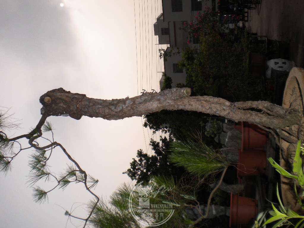 DSCN0687.JPG