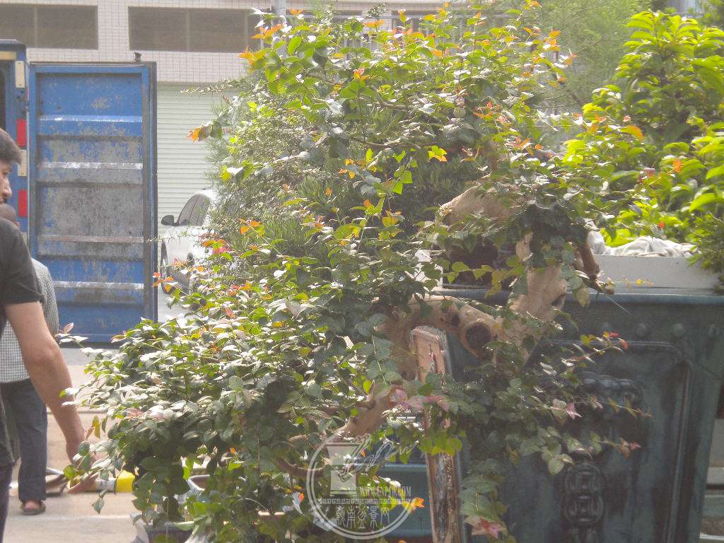 DSCN0680.JPG