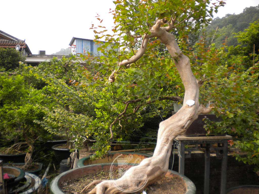 DSCN0673.JPG