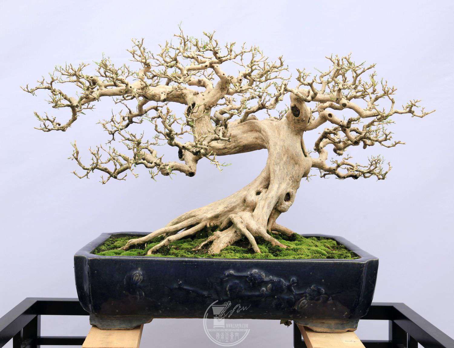 ţ164 չߣԻ֣㡢ƮϡIMG_0571.jpg