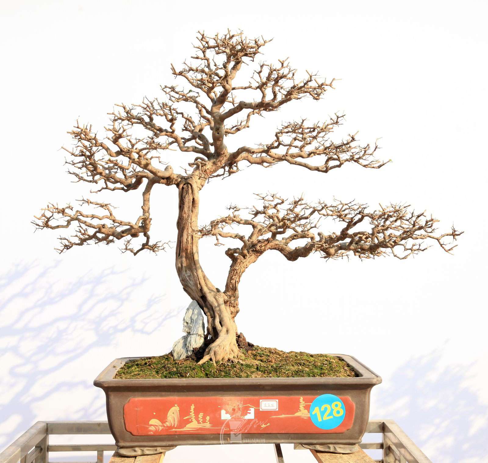 ٱ      Ů  128IMG_0162.jpg