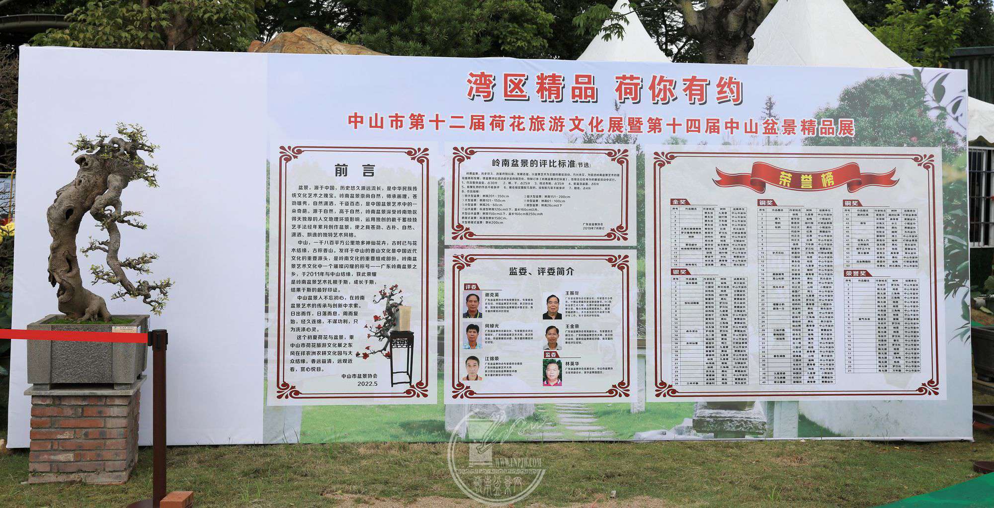 5BG1A1091.jpg