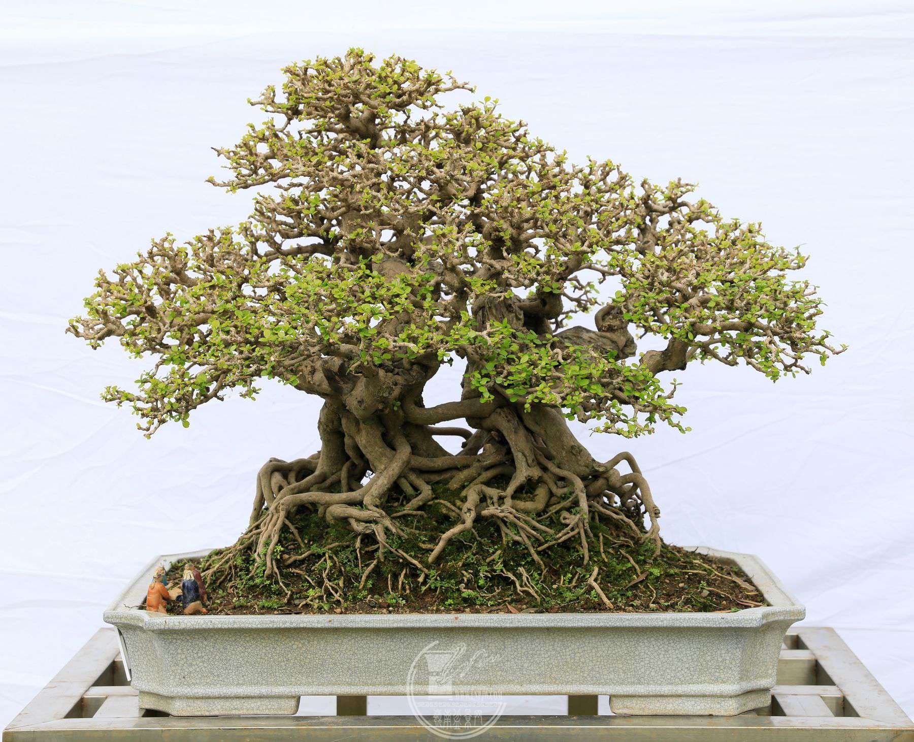 77            չߣԻ      ֣      72X78X65cm.jpg