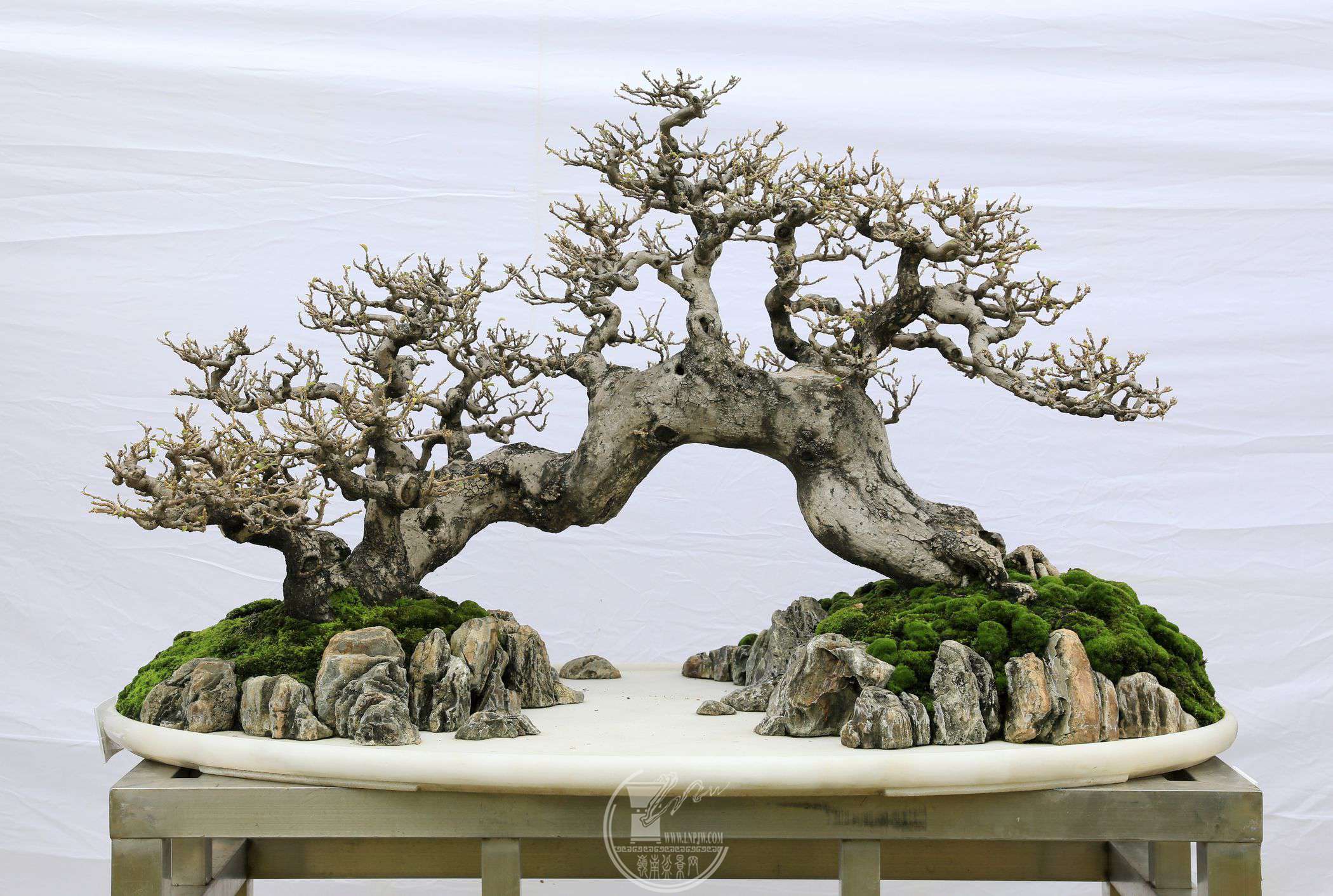 85      չߣ      ֣÷      115X80X70cm      չλ.jpg