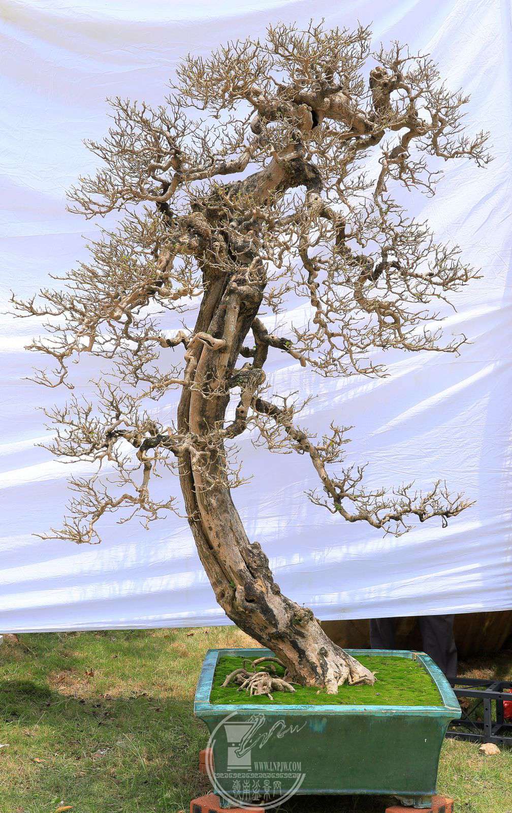 166      չߣŷ      ֣÷      80X80X230cm      չλ.jpg
