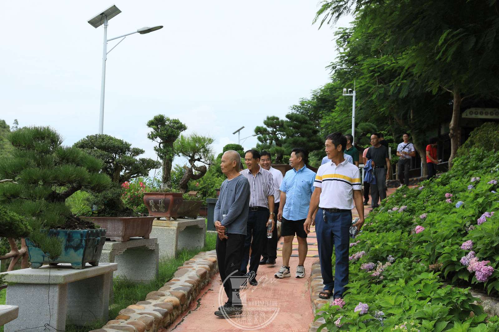 43BG1A1546.jpg