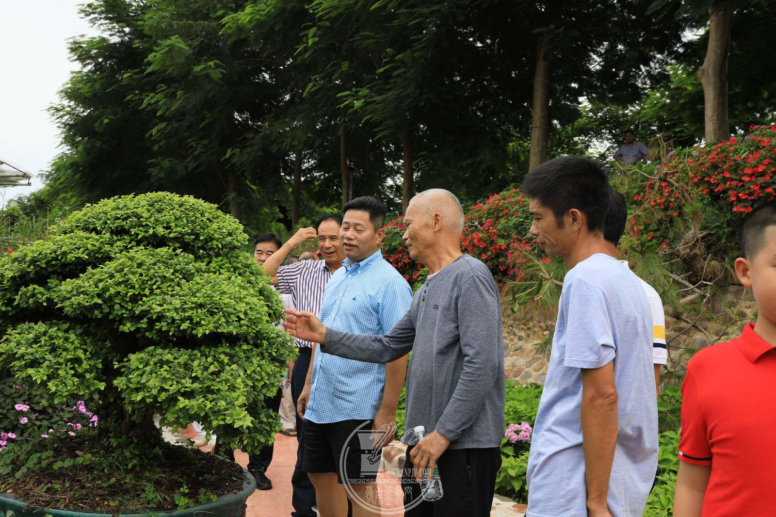 44BG1A1550.jpg