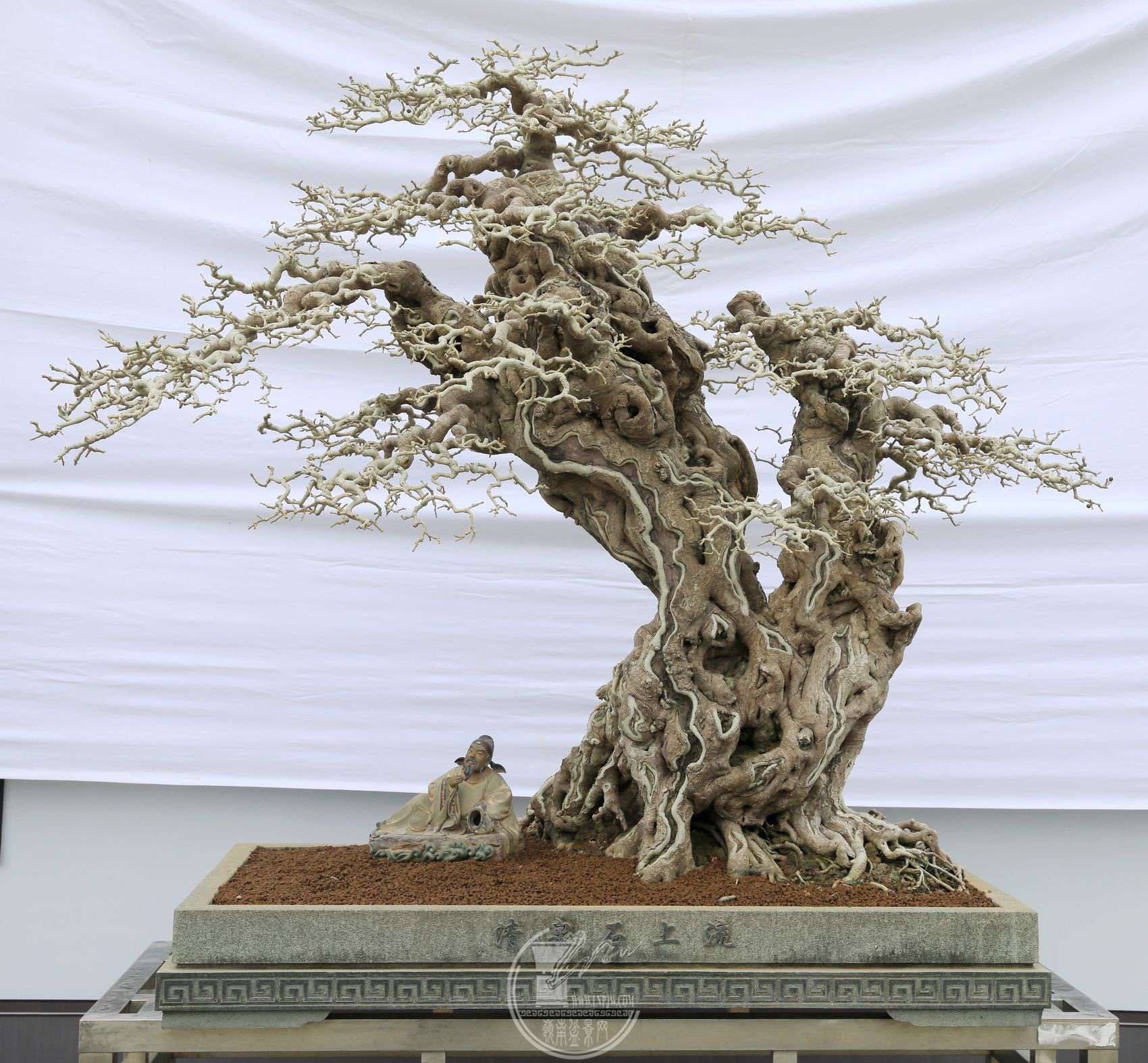 124               ɽ     12513085     ԰     .jpg