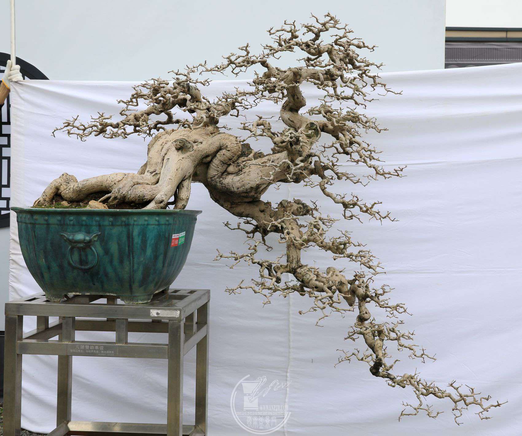 4180          ÷     ̽     Ʈ180     Ƹ辰Э     .jpg