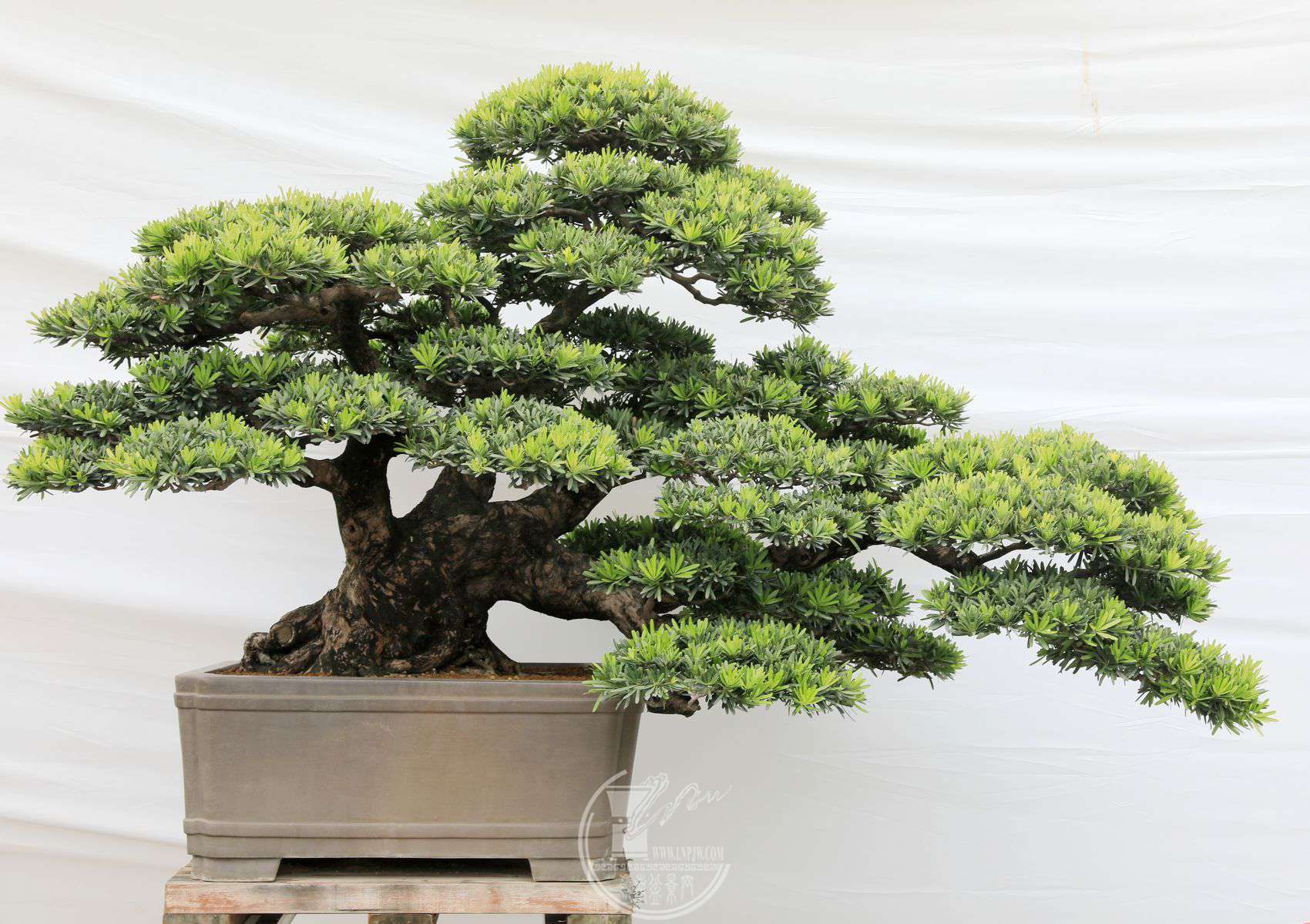 5204     Ի     ̨޺     ޺     156102102     ƶ.jpg