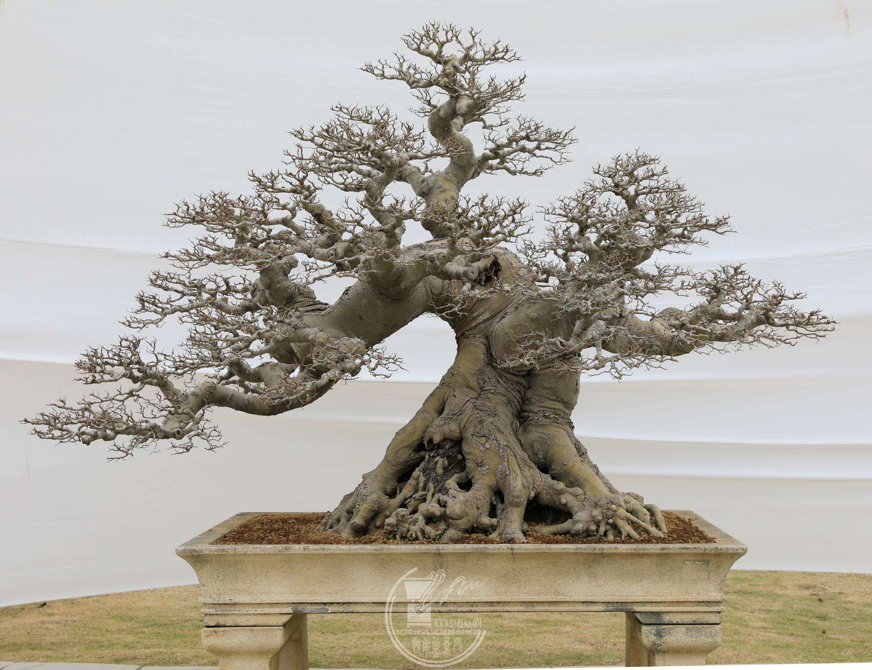 6232     Ի          ۷     168160113     ƶ辰԰     .jpg