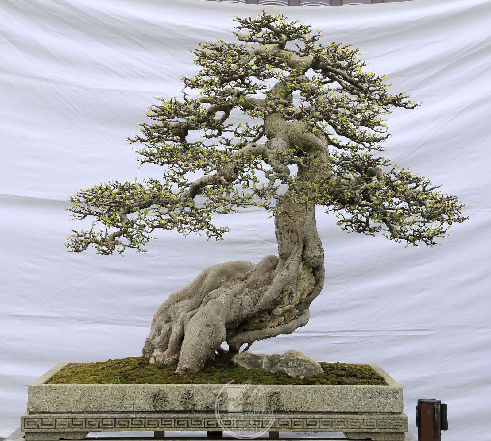 8187               纣ɰٴ     12012070     ԰     .jpg