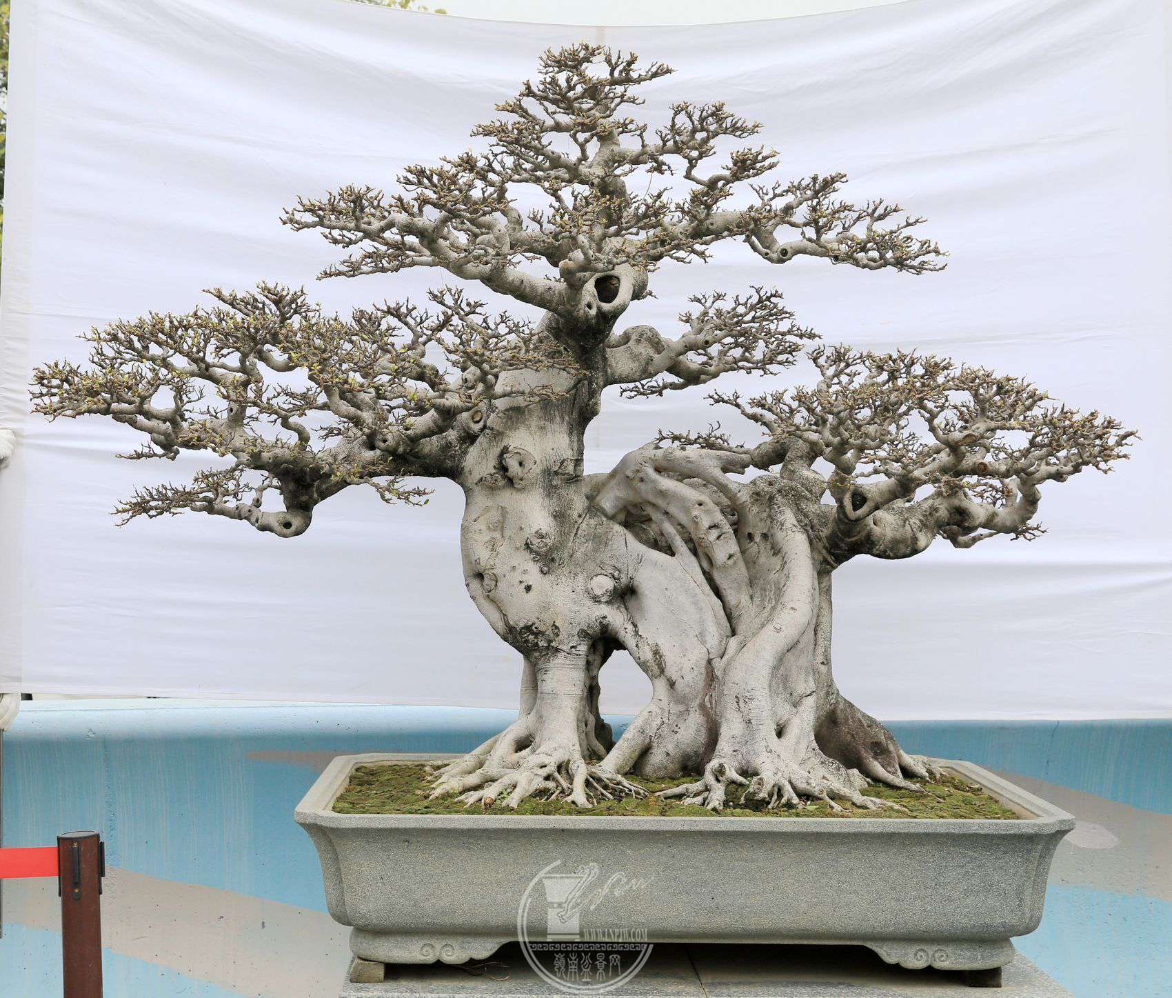 9199               ¹     160X138X90     ݸ辰Э     .jpg