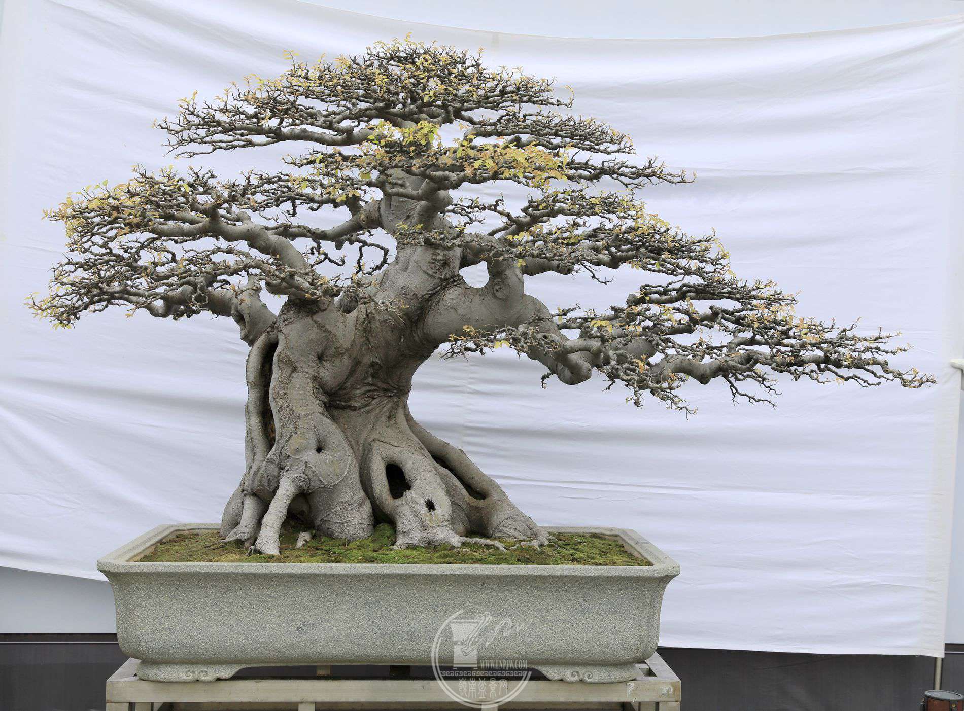 1281               ۷     118X120X90     ݸ辰Э     .jpg