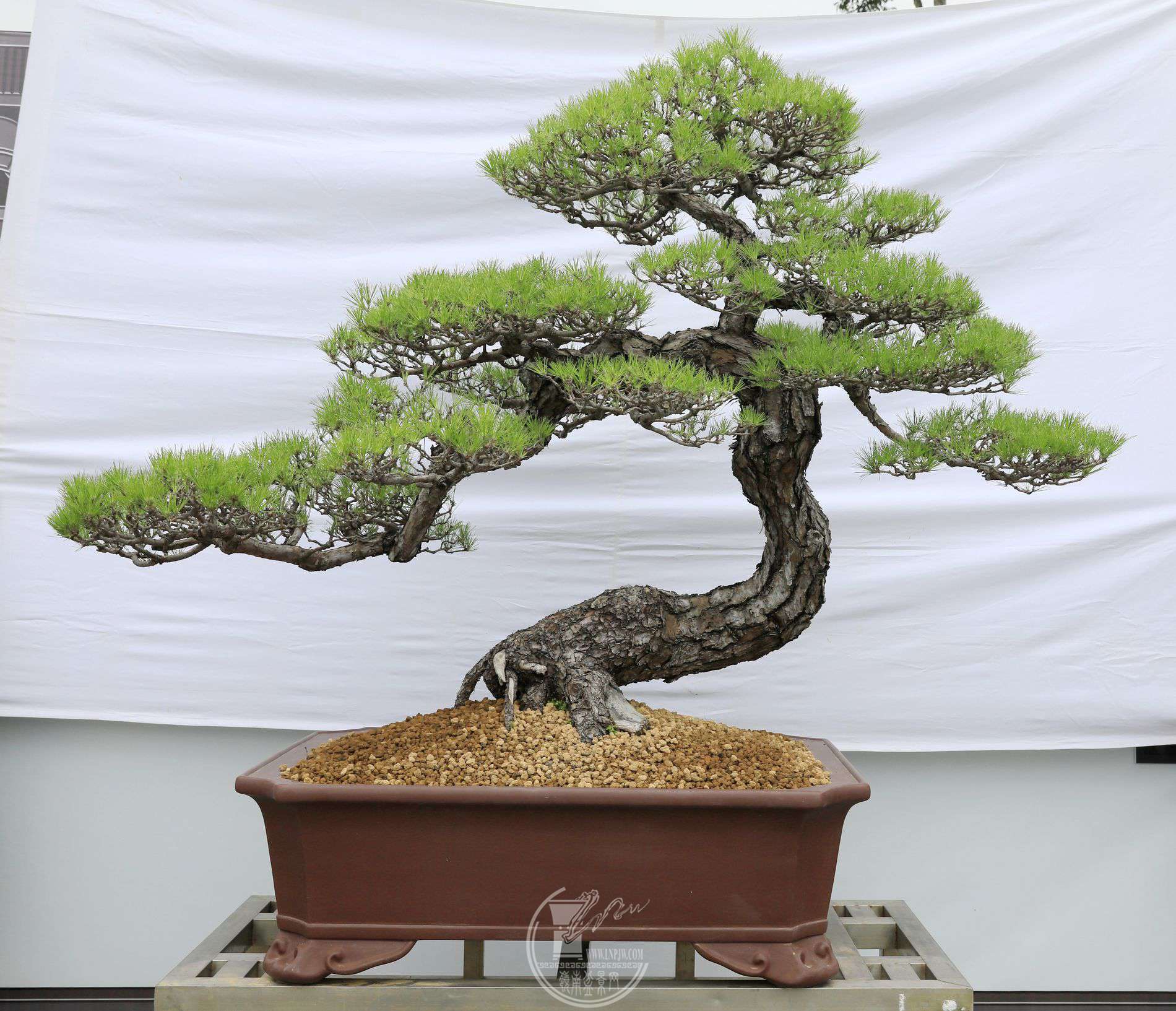 13177     βӻ     ɽ          18010580     ƽг     .jpg