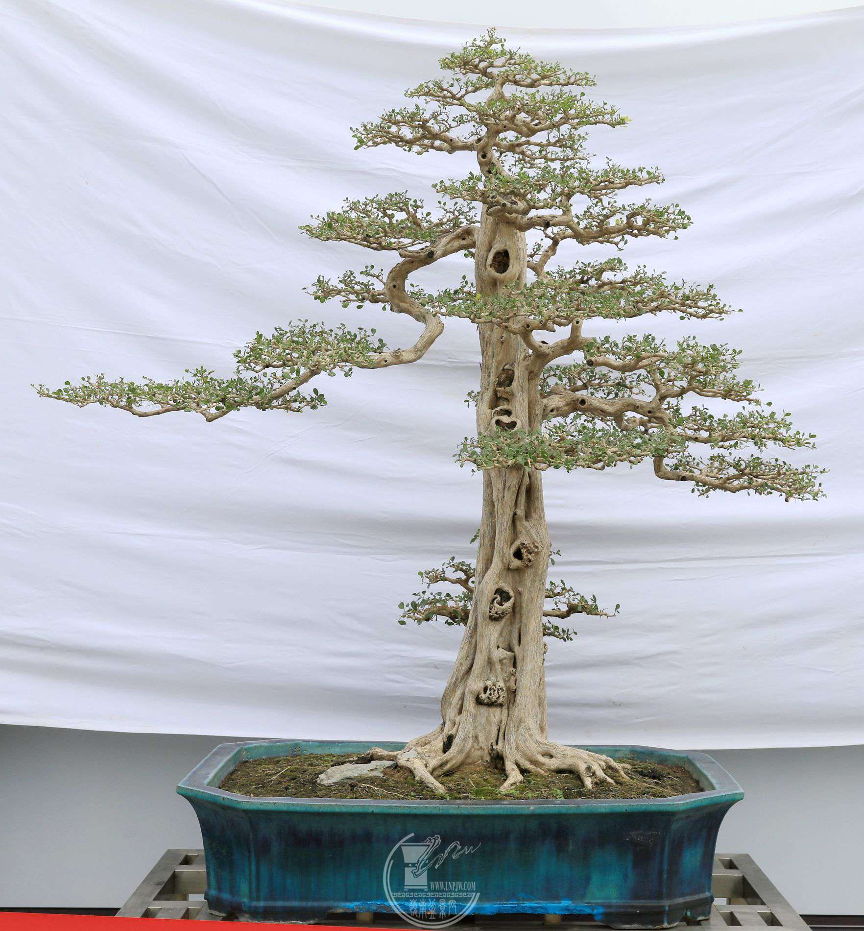 26173               һ     150x110x75     辰Э     .jpg