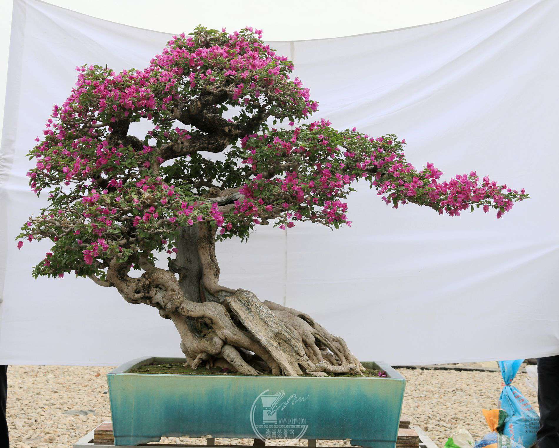 28194          ÷          120X120X90     ݸ辰Э    .jpg