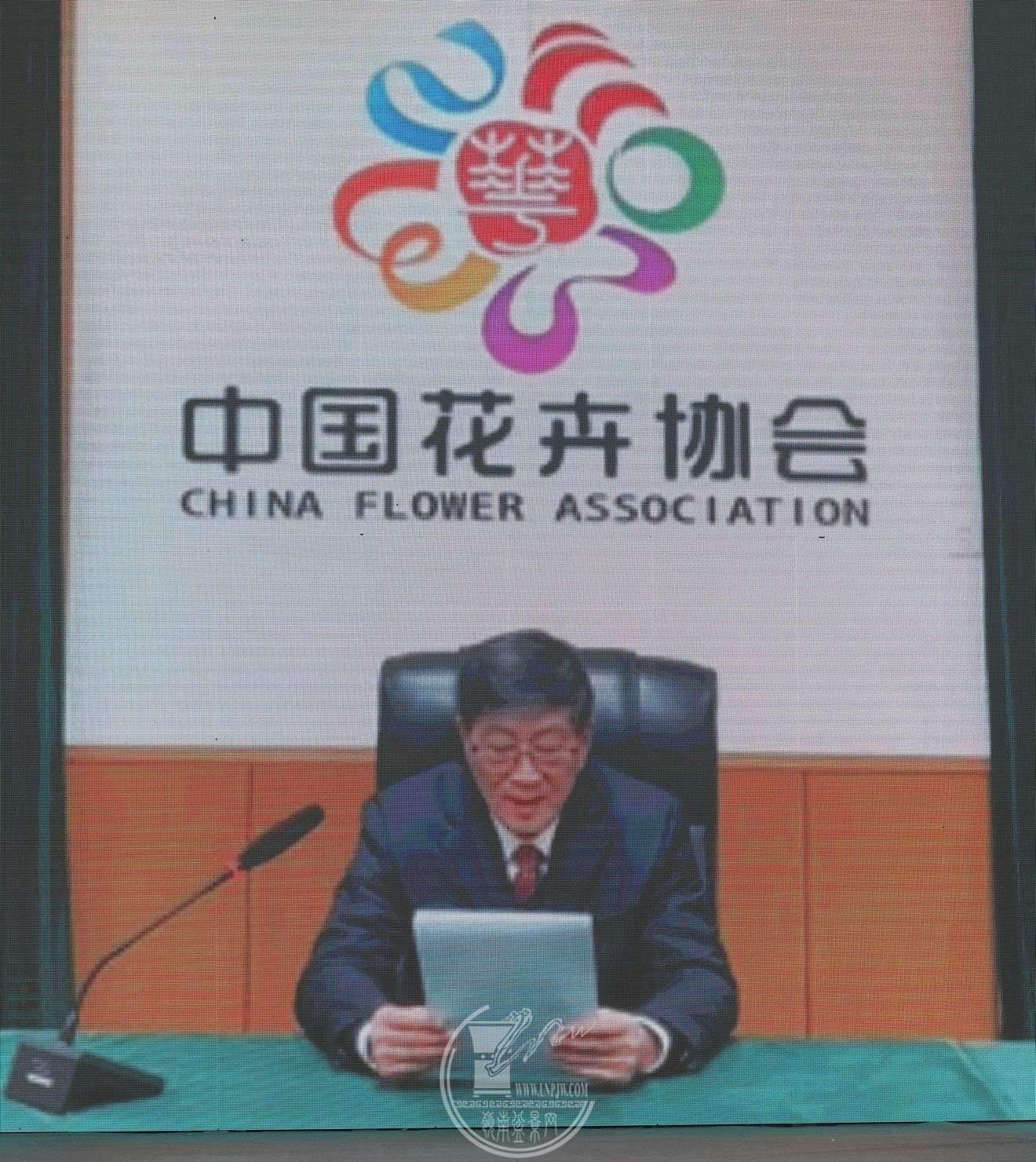 7BG1A2738.jpg