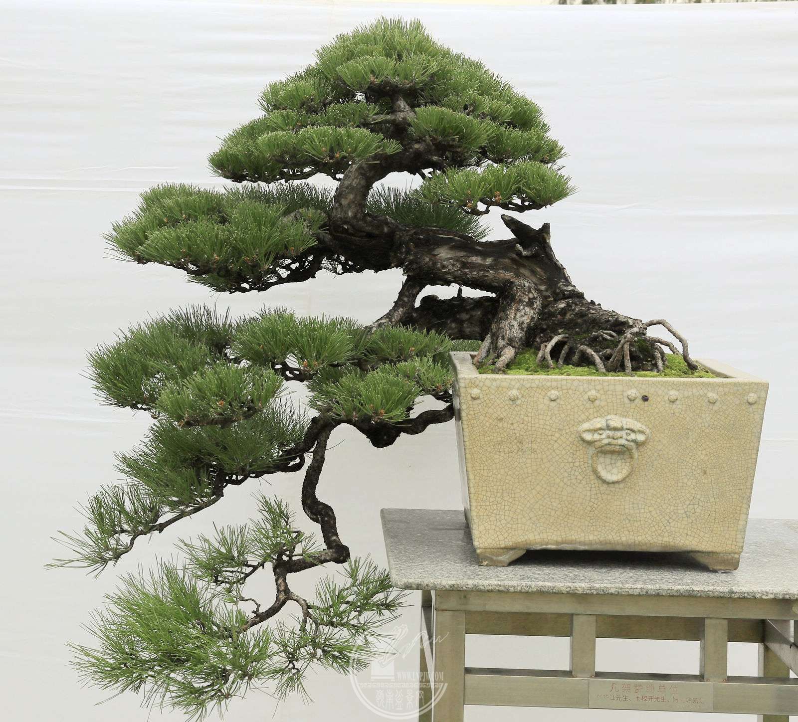 1628                    Ʈ805050     ˳     BG1A2025.jpg
