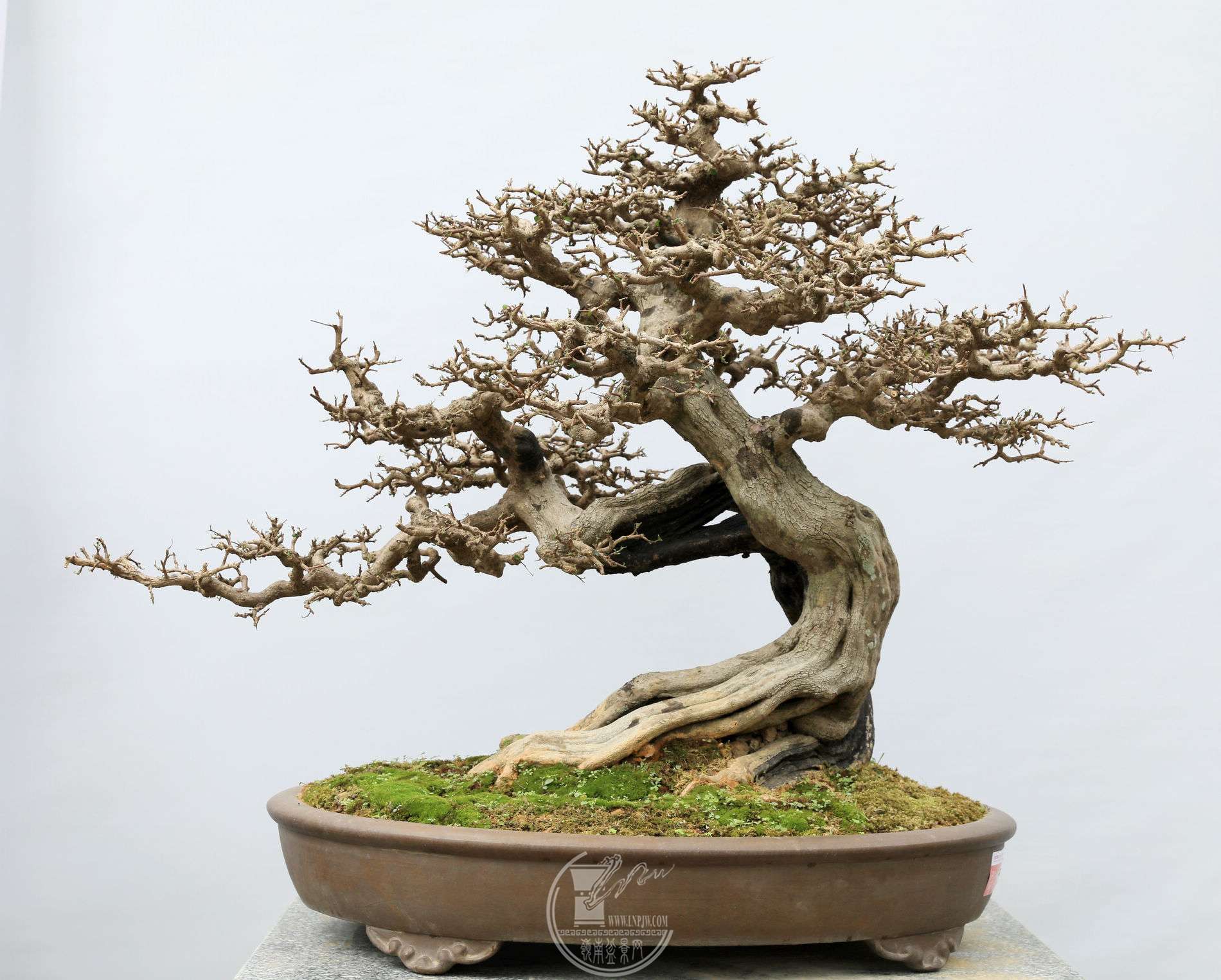 33163                    90X120X65     ڷ羰԰辰.jpg